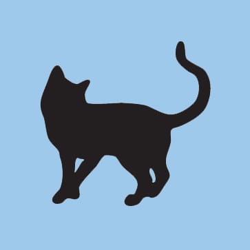 KJD Blog
